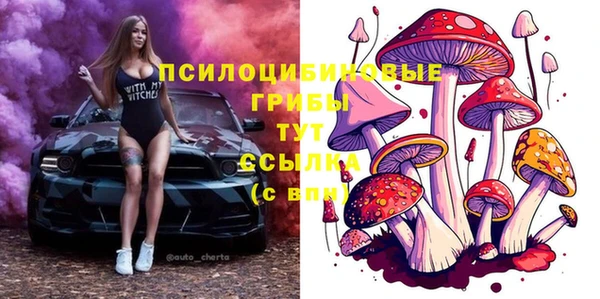 гидропоника Наволоки